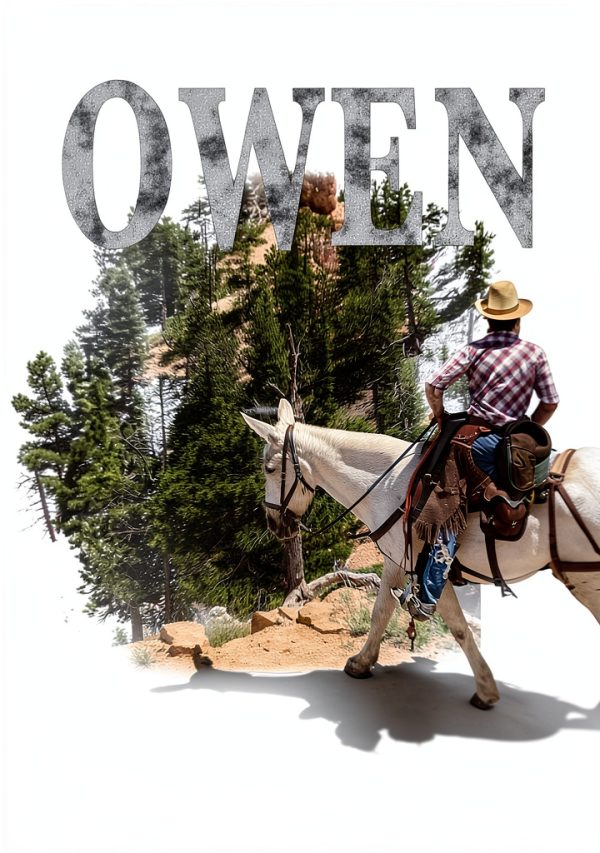 Western Fiction eBook Amazon Kindle Post Civil War 324 Page Novel-0